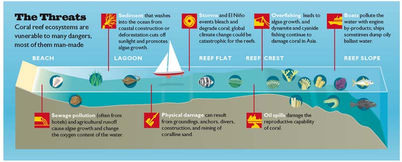 [DIAGRAM] Types Of Reefs Diagram - MYDIAGRAM.ONLINE